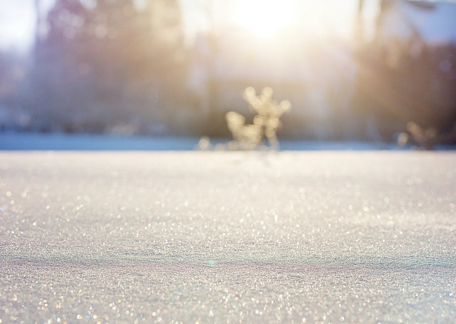 Easy Ways To Boost and Maintain Your Vitamin D Levels Without Sun This Winter